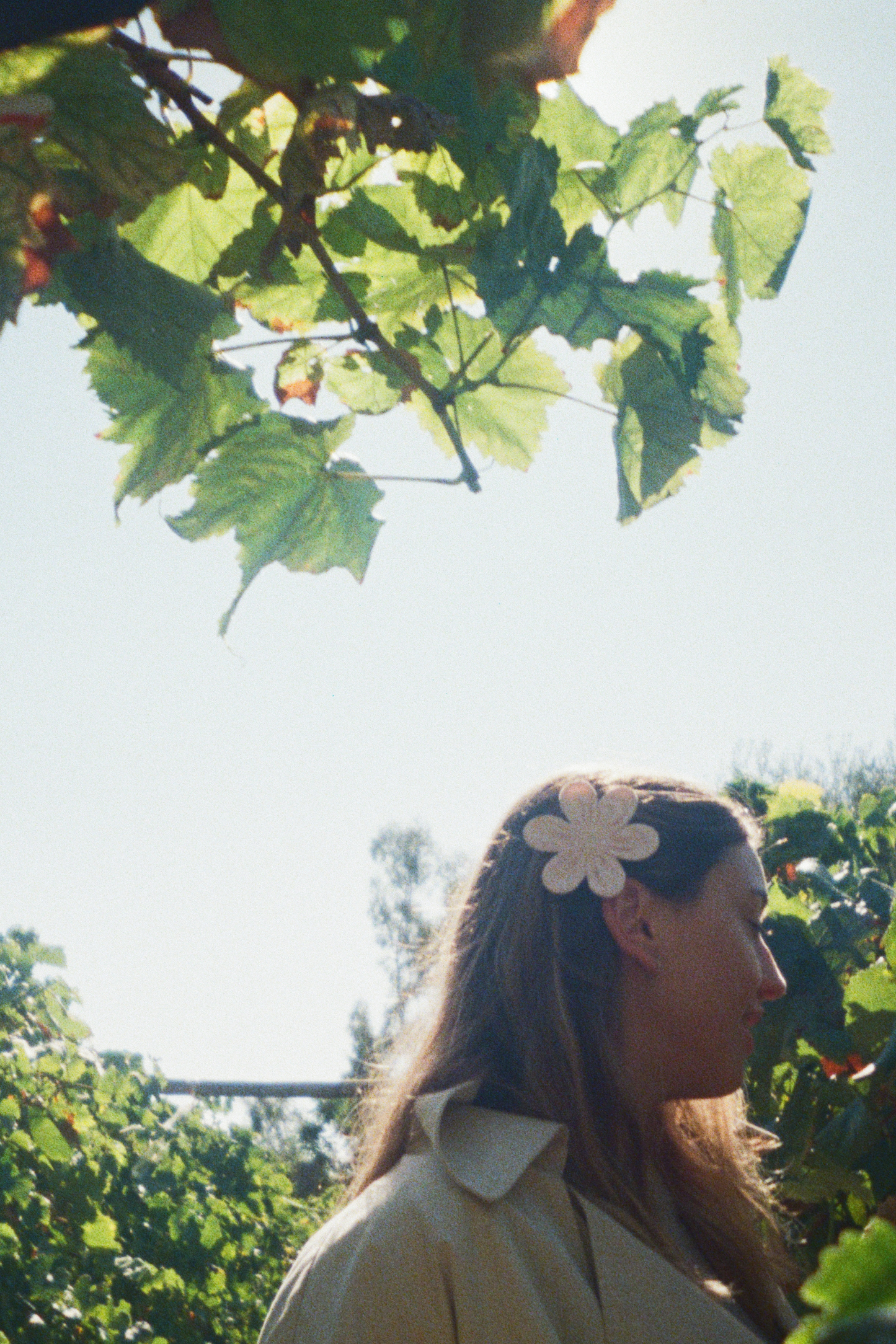 Buttercup Hair Clip - Baby Pink