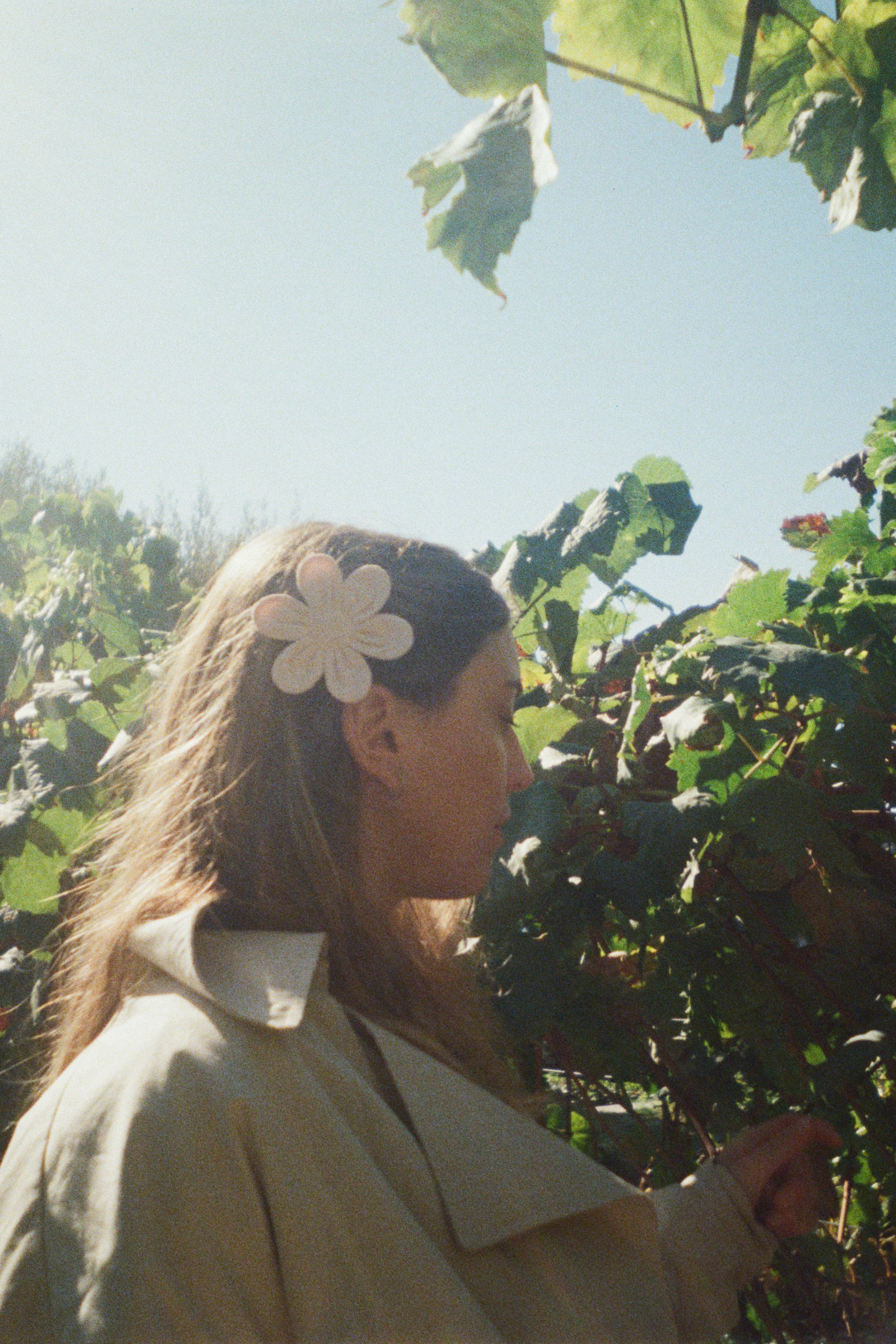 Buttercup Hair Clip - Baby Pink