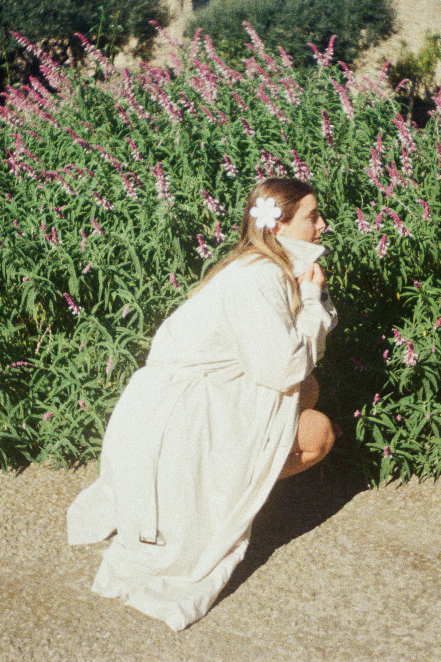 Buttercup Hair Clip - Baby Pink